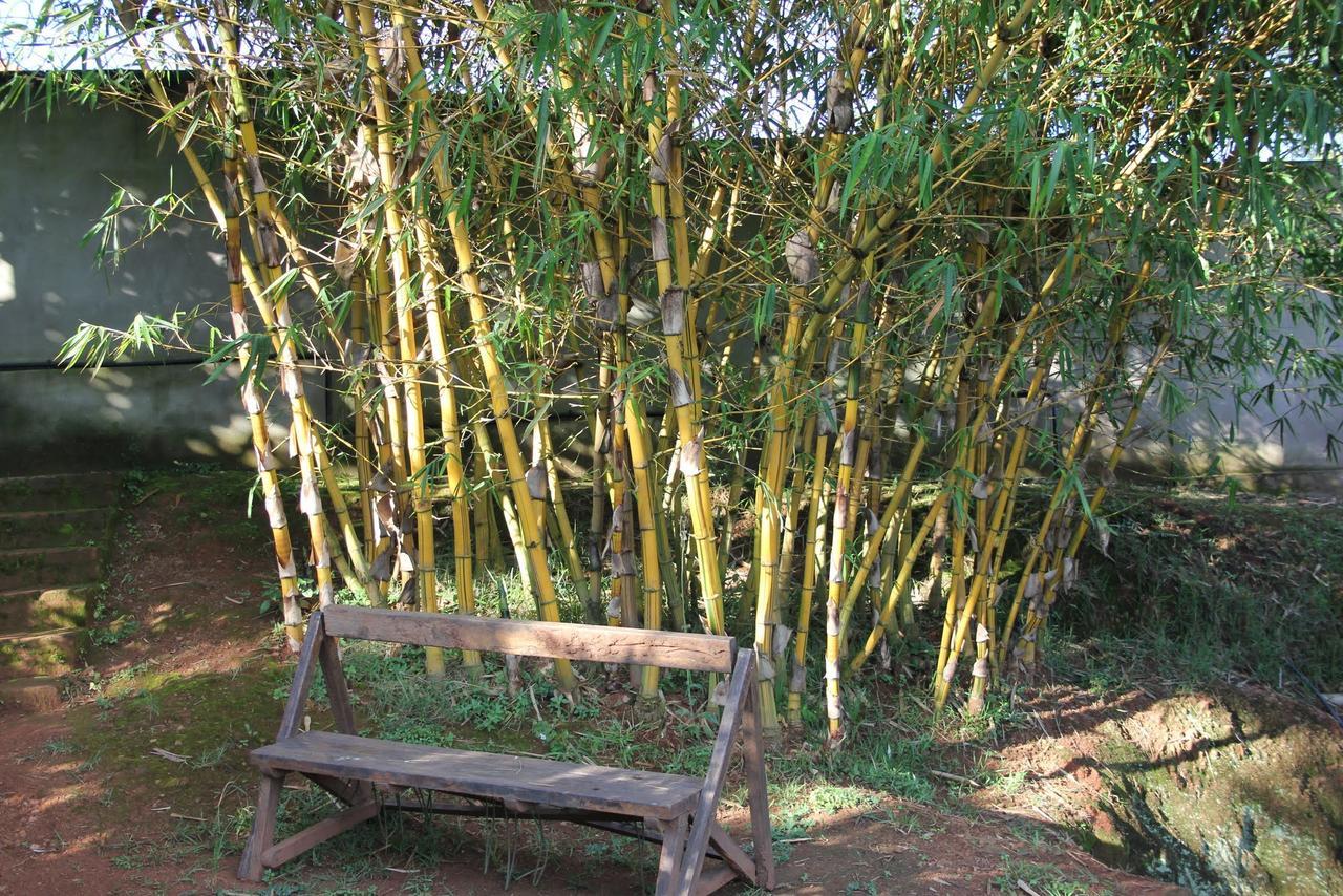 Banda Lodge Masaka ภายนอก รูปภาพ